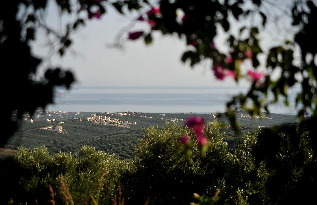 Elia Hotel & Spa-1